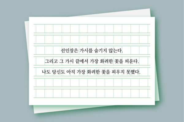 문장 카드뉴스_4